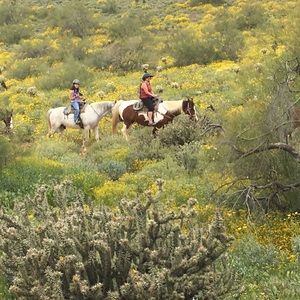 Meet your Posher, Joan